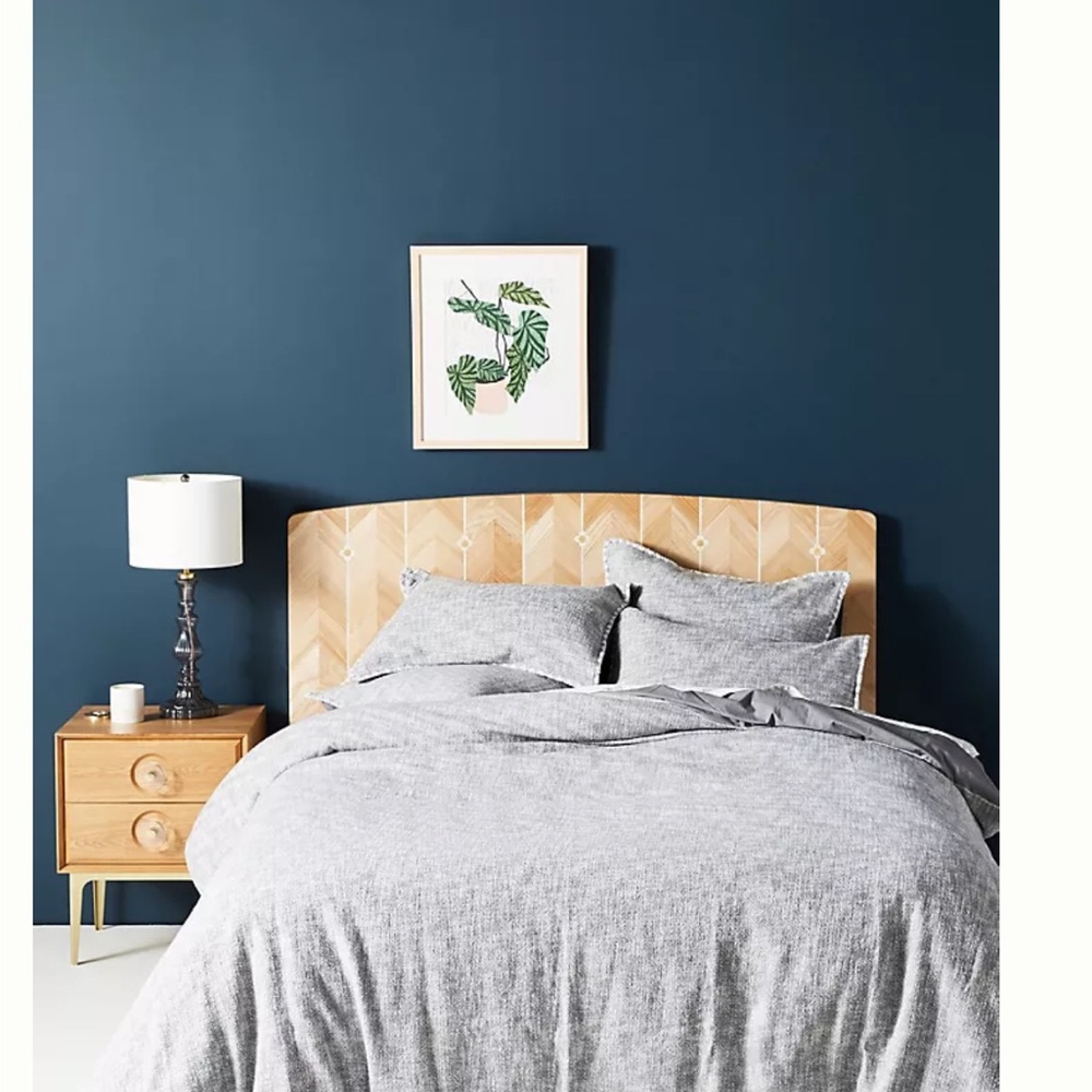 Anthro Duvet and 2x King Shams